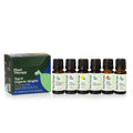 Plant Therapy Top 6 USDA Organic Essential Oil Set – Lavender, Peppermint, Eucalyptus, Lemon, Sweet Orange, Tea Tree (10 mL)