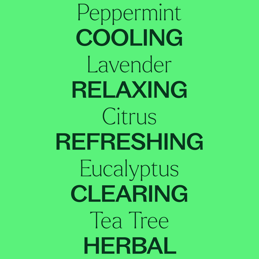 Plant Therapy Top 6 USDA Organic Essential Oil Set – Lavender, Peppermint, Eucalyptus, Lemon, Sweet Orange, Tea Tree (10 mL)