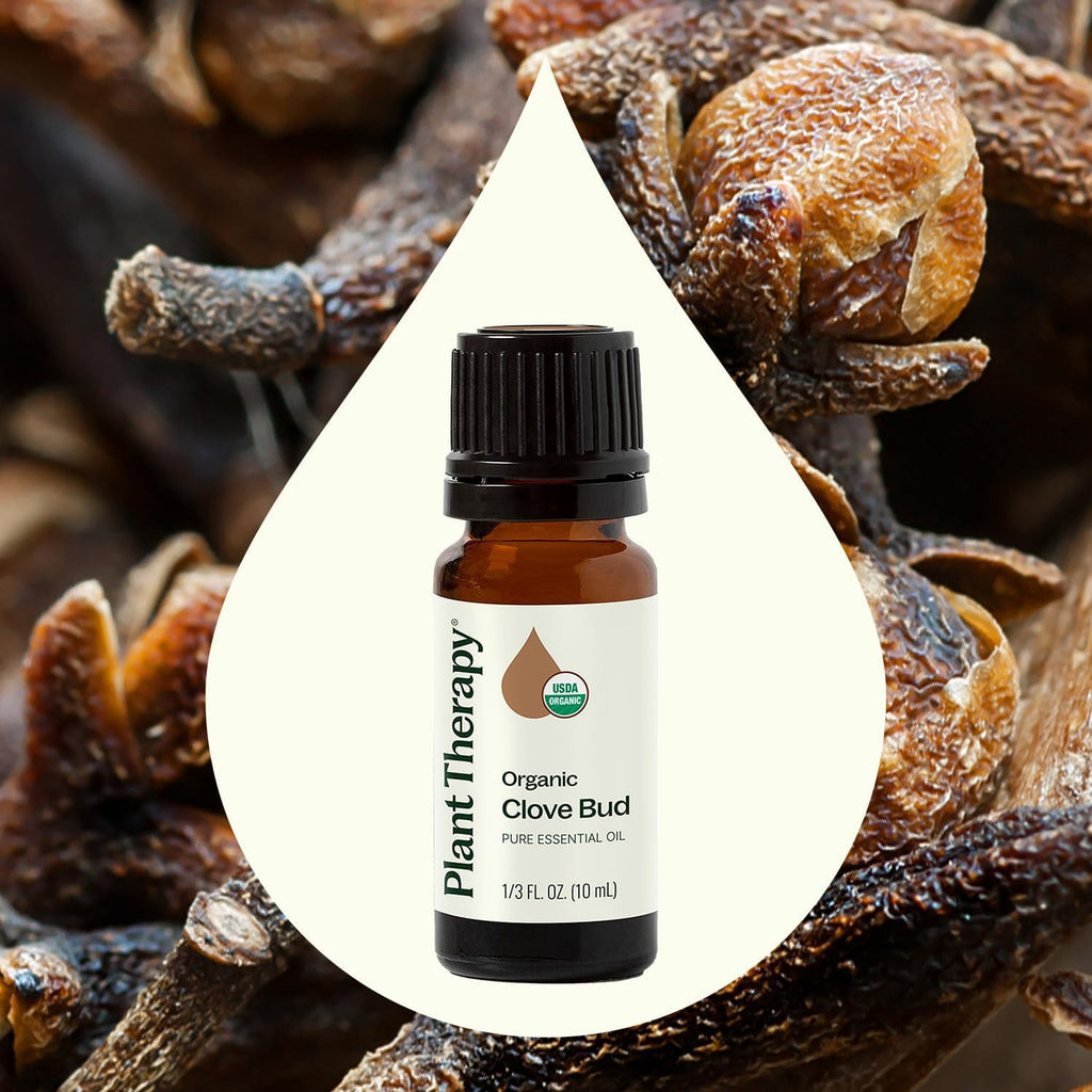 Plant Therapy Clove Bud Organic Essential Oil – 100% Pure, USDA Organic, 10 mL
