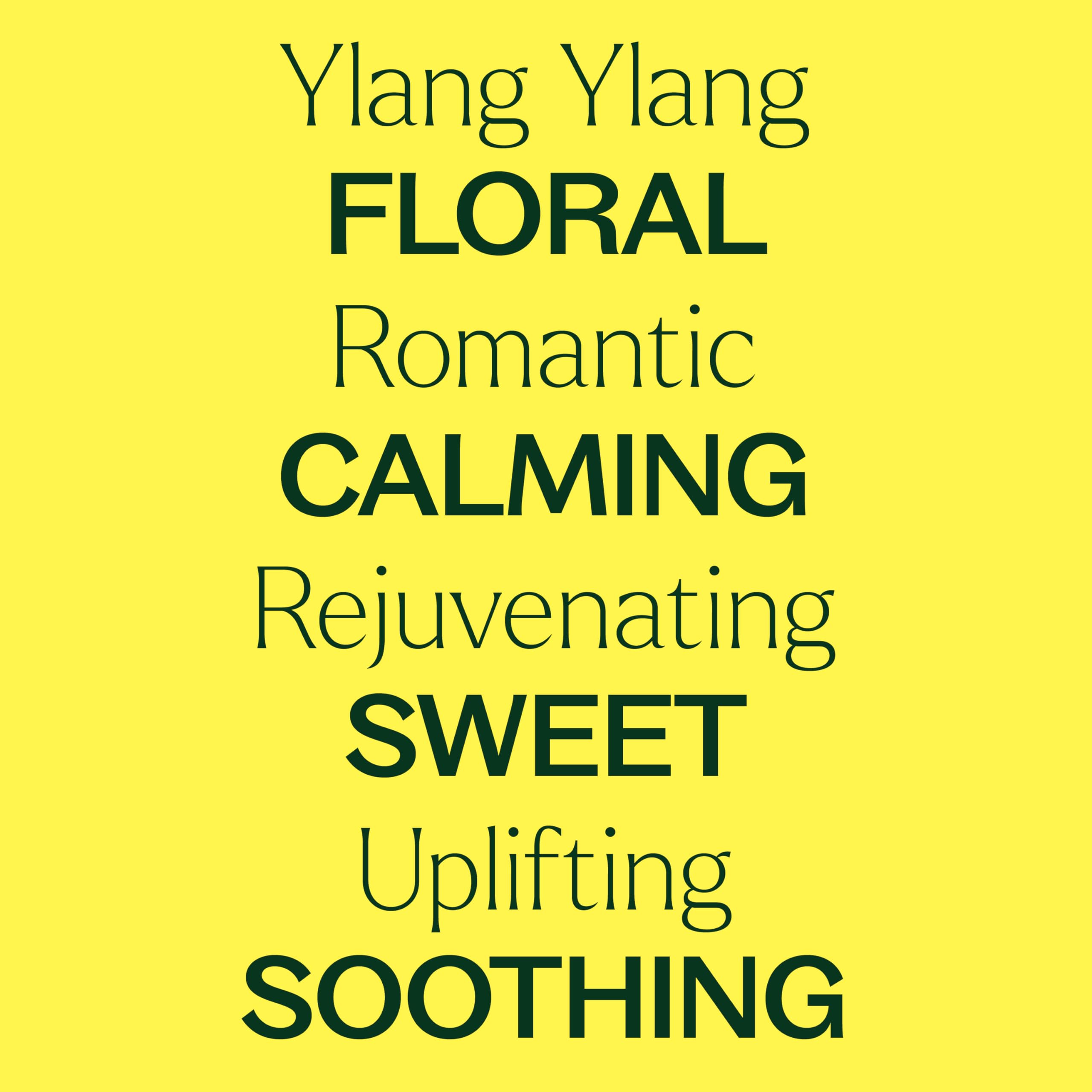 Plant Therapy Ylang Ylang Complete Essential Oil – 100% Pure, Undiluted, Therapeutic Grade, 10 mL