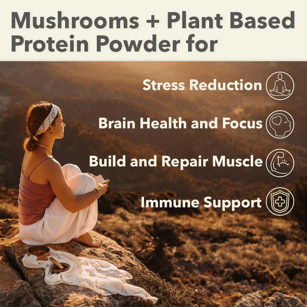 PlantFusion Mushroom Protein Powder – 3 in 1 Vegan Protein, Adaptogen, Chocolate 1lb