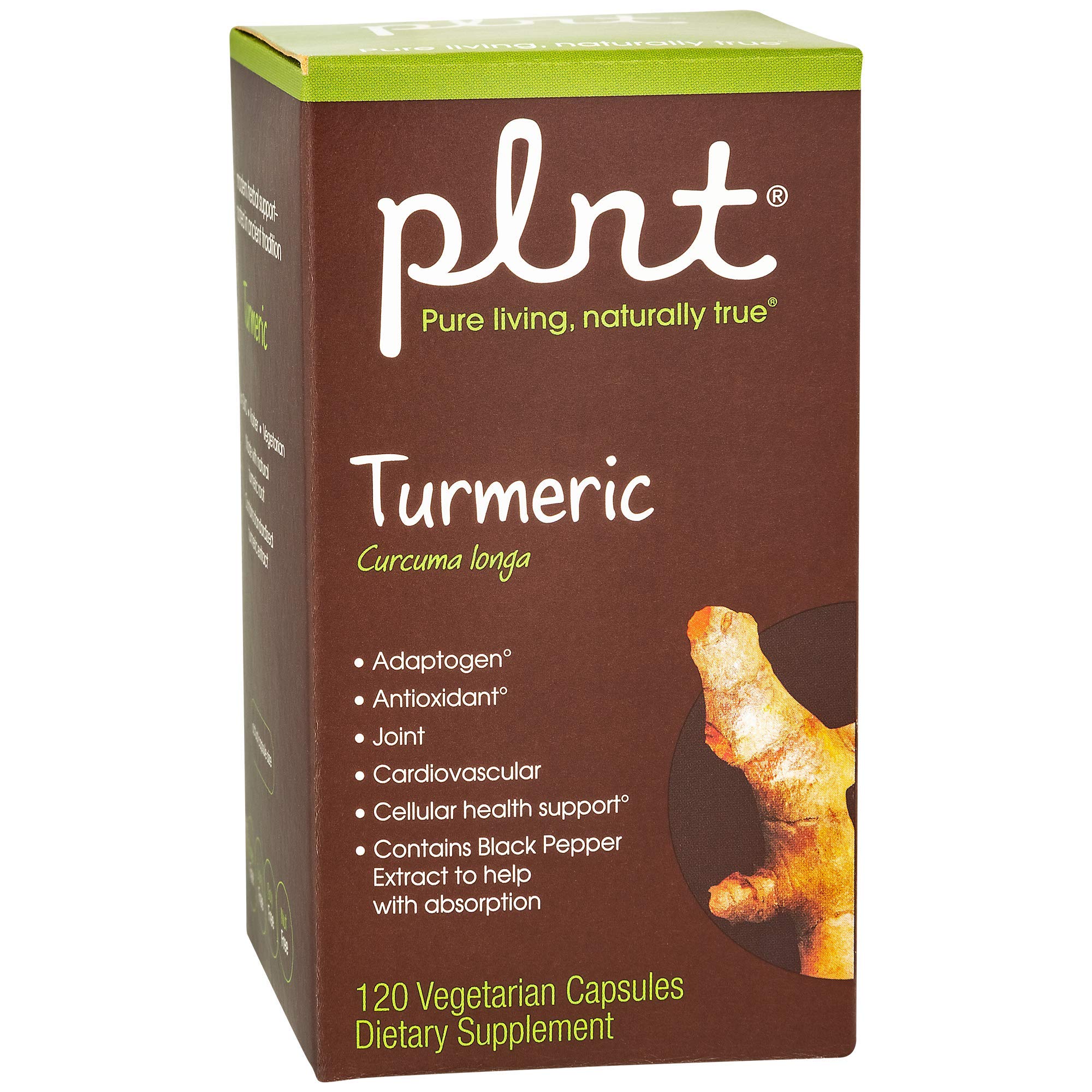 plnt Turmeric - Natural Non-GMO Turmeric Root for Joint Mobility & Antioxidant Support (120 Veg Capsules)