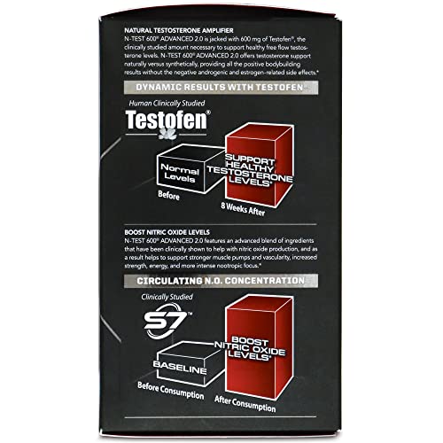 PMD N-Test 600: Advanced Nitric Oxide Booster for Men – 600mg Testofen