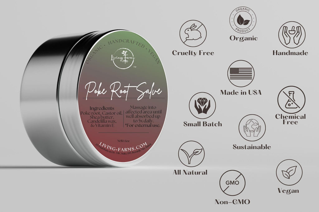 Poke Root & Castor Oil Salve - 1oz | Vegan Lymphatic Support Balm | Handmade in USA