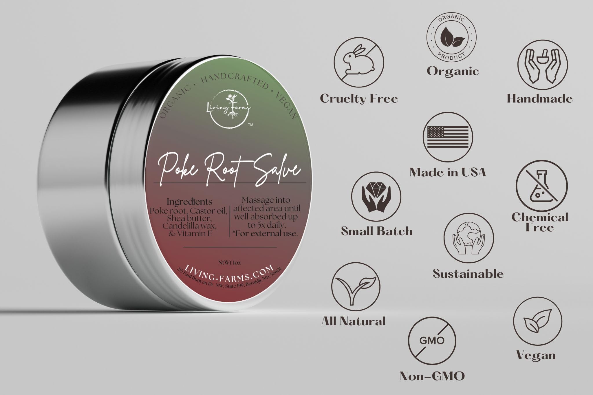 Poke Root & Castor Oil Salve - 1oz | Vegan Lymphatic Support Balm | Handmade in USA