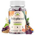Polyphenol Gummies – Plant-Based Formula with Resveratrol, Elderberry & Turmeric (60 Gummies)