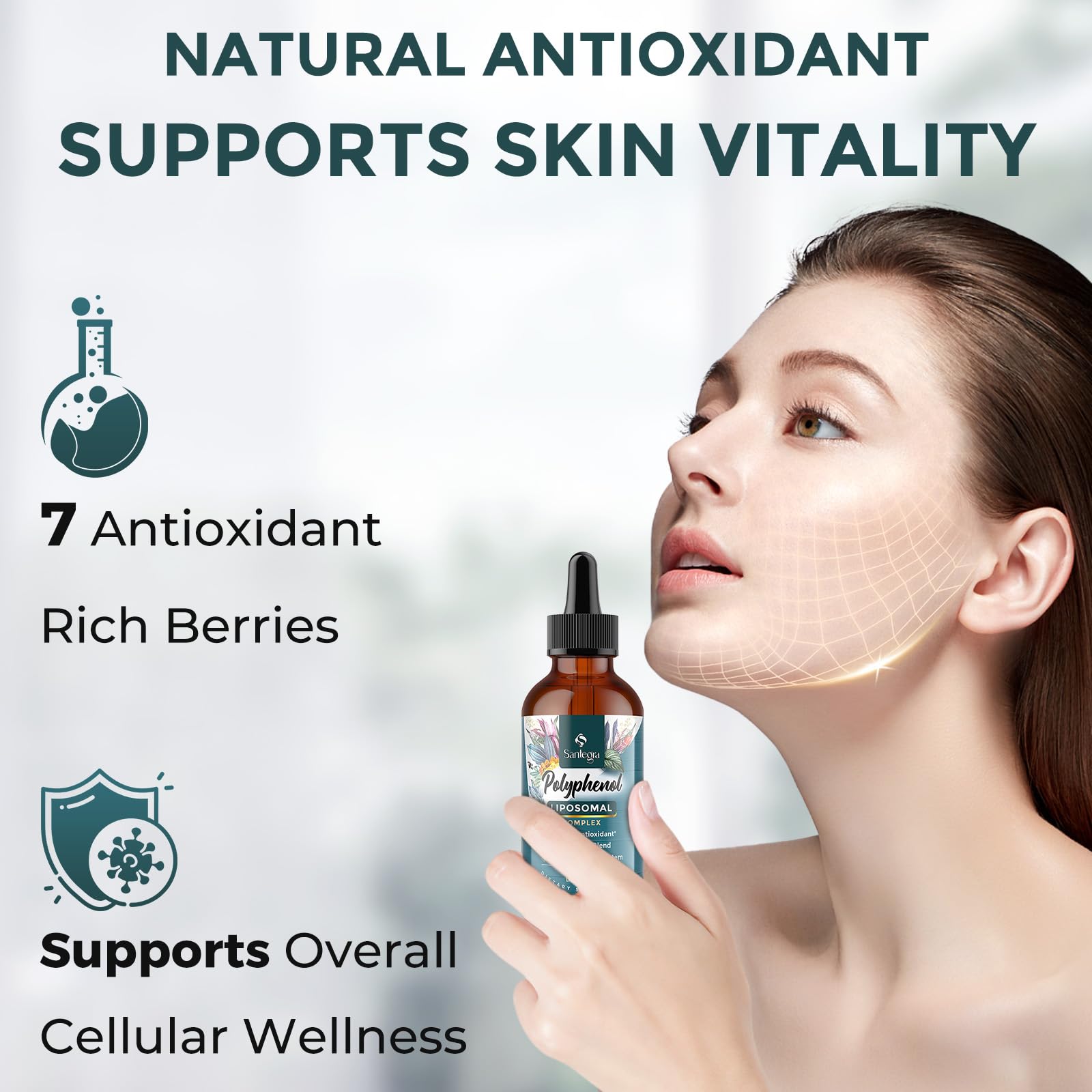 Liposomal Polyphenols Supplement – 27+ Polyphenols, Antioxidant Support | MCT & Olive Oil | 120 ml