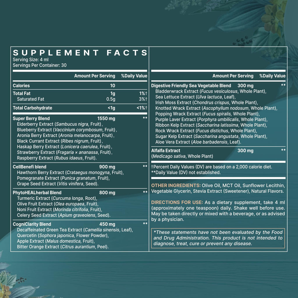 Liposomal Polyphenols Supplement – 27+ Polyphenols, Antioxidant Support | MCT & Olive Oil | 120 ml