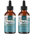 Polyphenols Liposomal Drops – 27+ Polyphenols, MCT & Olive Oil (240 ml)