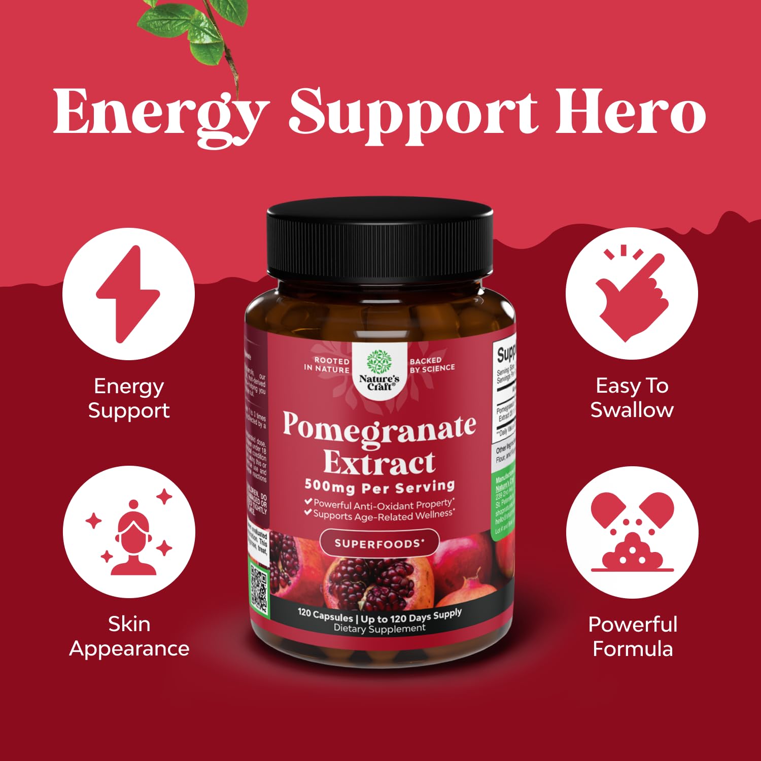 Pomegranate Antioxidant Supplement by Reds – Heart Health & Joint Support (120ct)