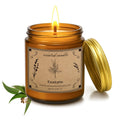 POOTES 16oz Eucalyptus & Lavender Soy Wax Candle – 100 Hour Burn, Aromatherapy Gift