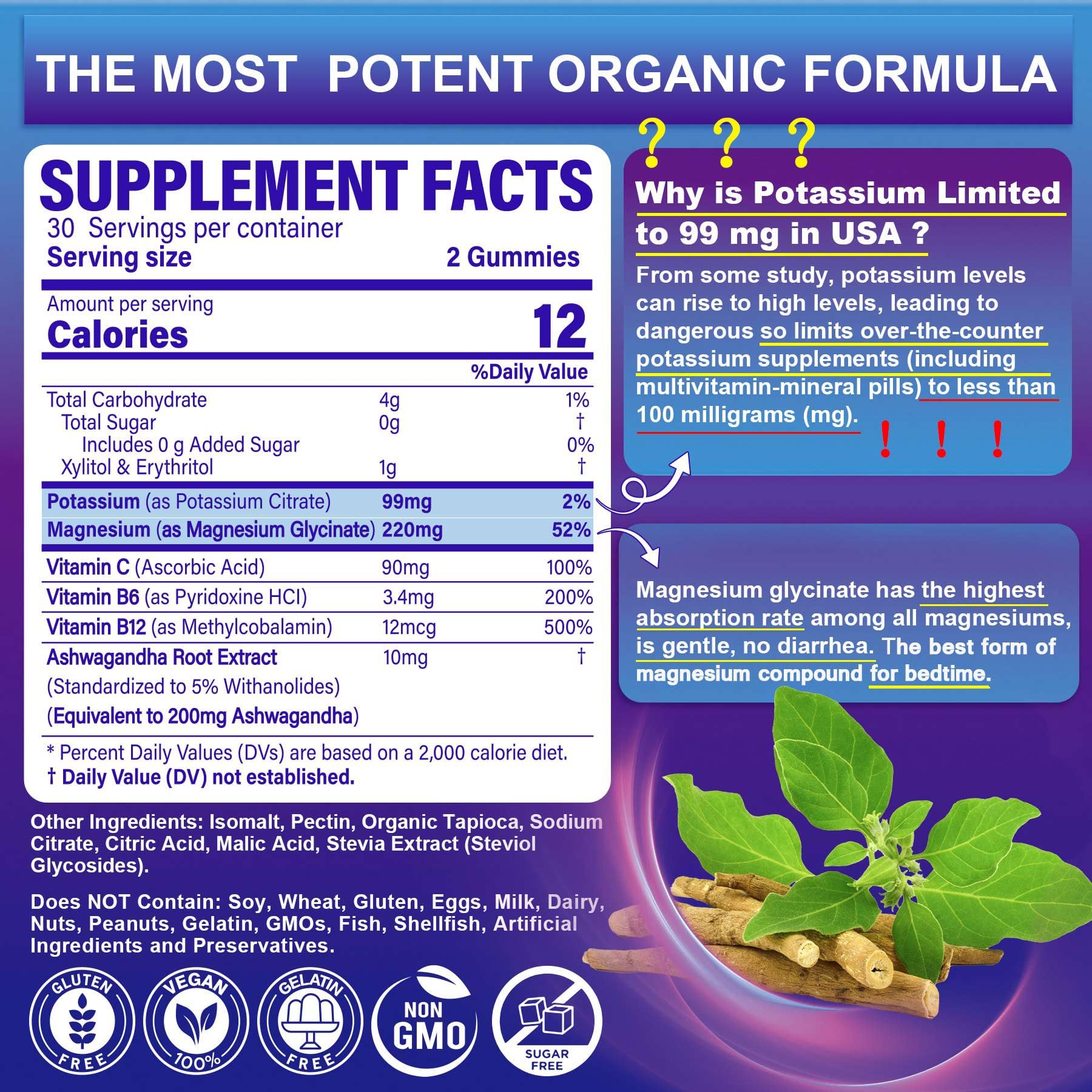 Potassium Magnesium Gummies - Ashwagandha 200mg, Mg Glycinate, B6 & B12 | Sugar-Free 2-Pack