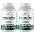 POWERED X PLANTS Berberine 1300mg with Ceylon Cinnamon – Metabolism & Immune Support (2 Pack, 120 Servings)