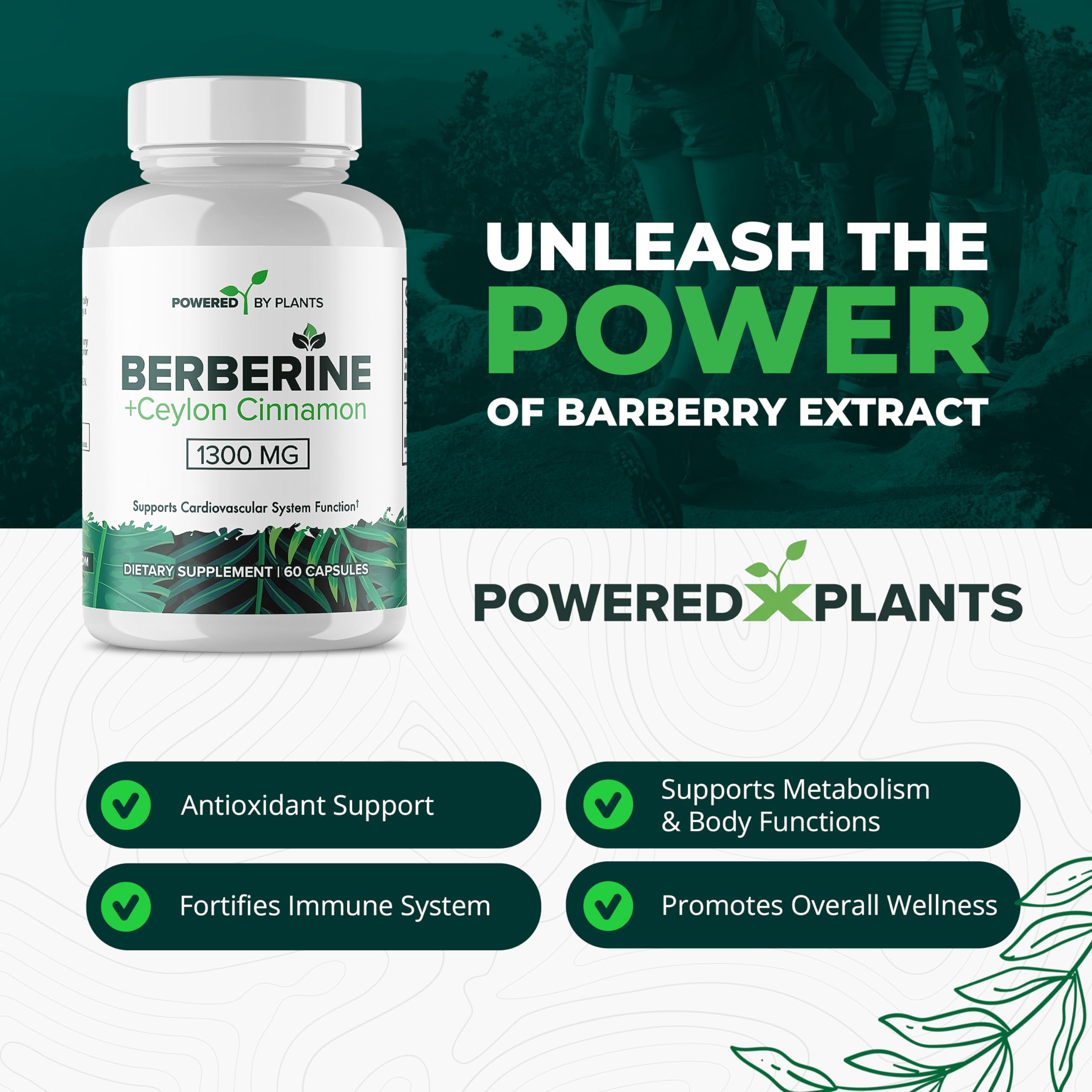 POWERED X PLANTS Berberine 1300mg with Ceylon Cinnamon – Metabolism & Immune Support (2 Pack, 120 Servings)