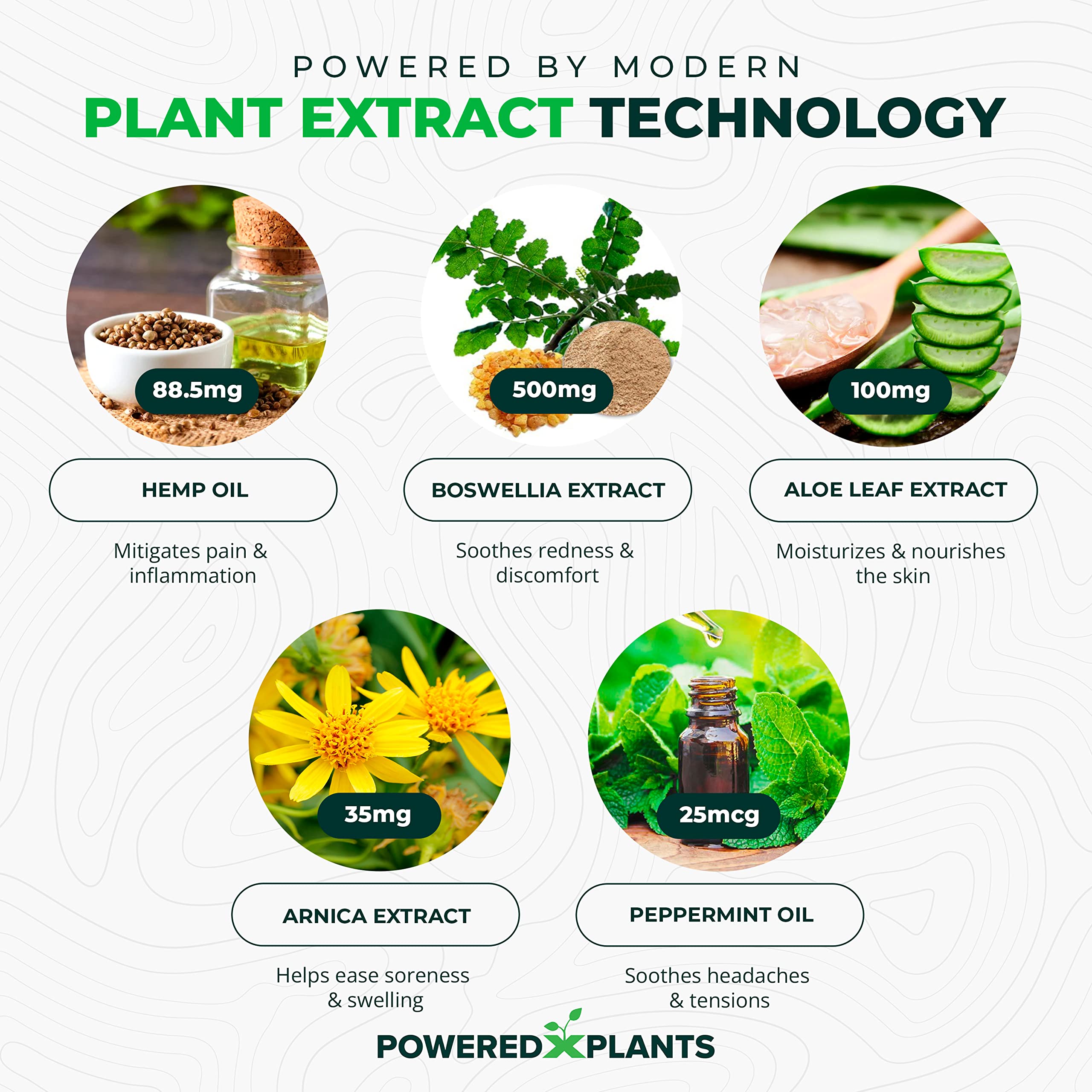 Powered X Plants Hemp Oil Roll On – Menthol, Boswellia & Arnica | 12,000mg Extra Strength