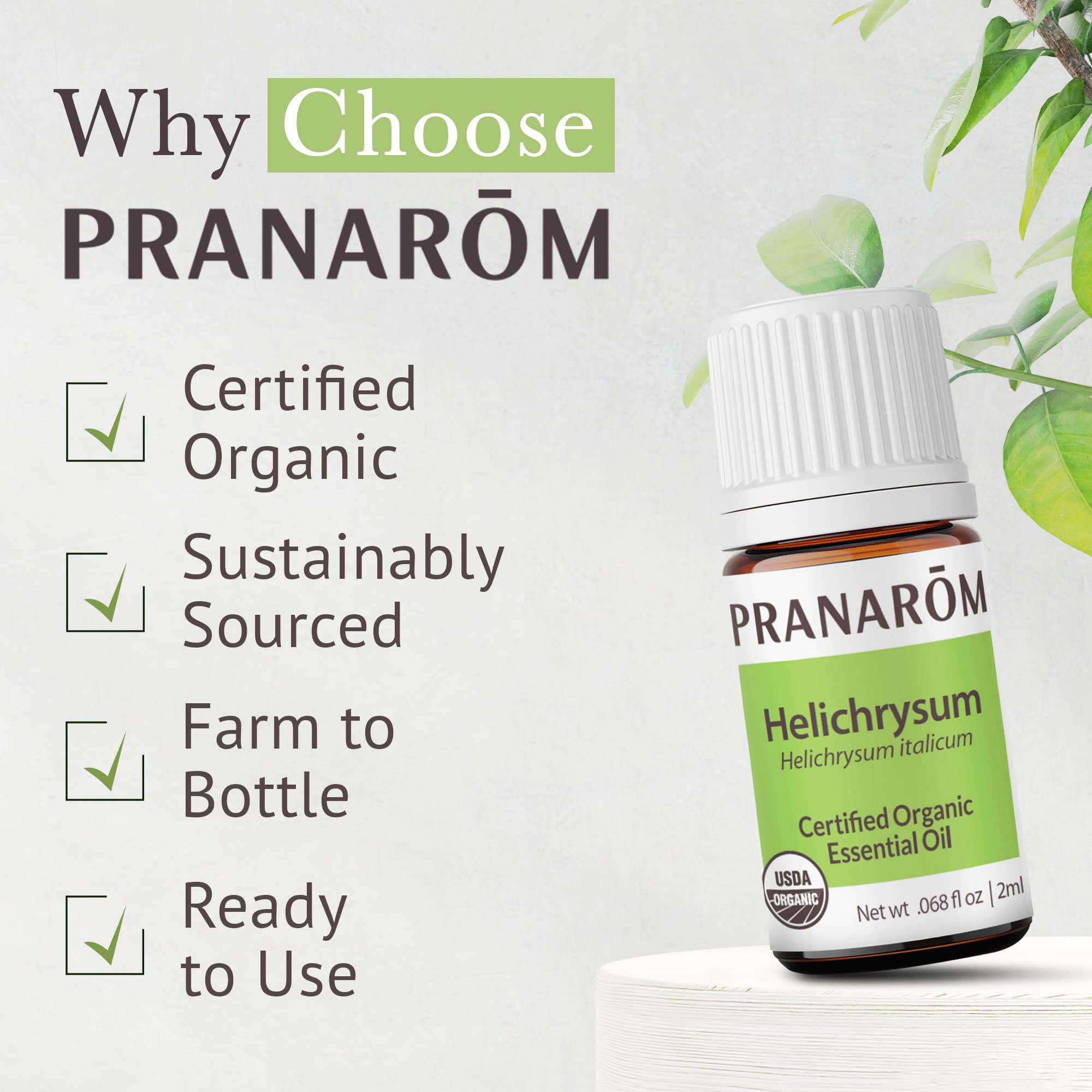 Pranarom Helichrysum Essential Oil 2ml – USDA Organic, Pure Therapeutic Grade