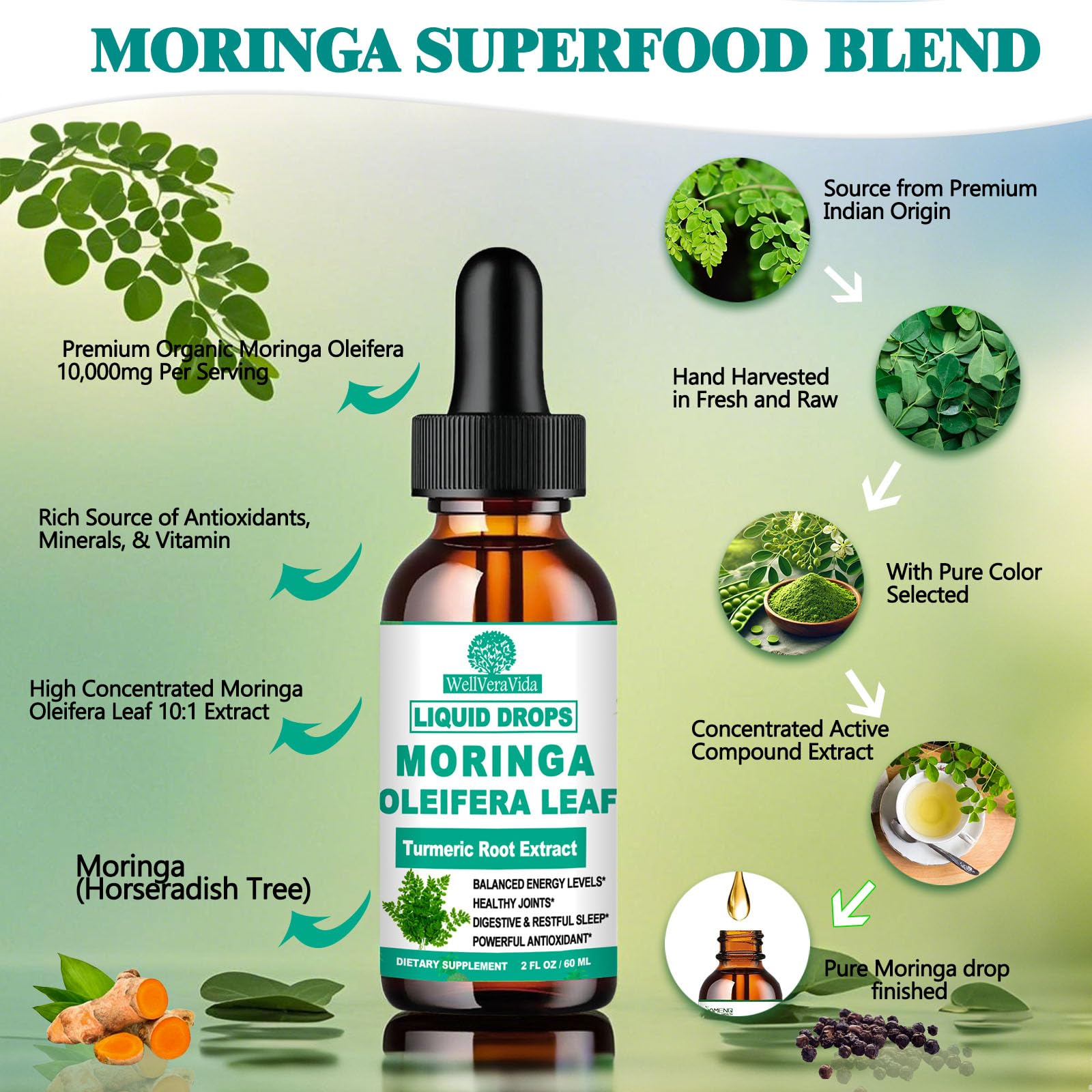 Organic Moringa Liquid Drops with Turmeric, Black Pepper & Vitamin C | Moringa Oleifera