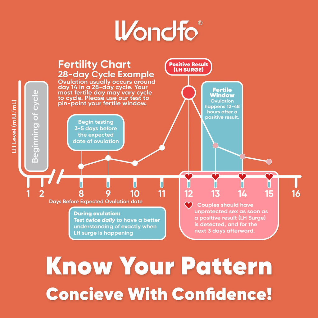 Pregnancy & Ovulation Test Strips Kit | Fertility Tracking & Family Planning