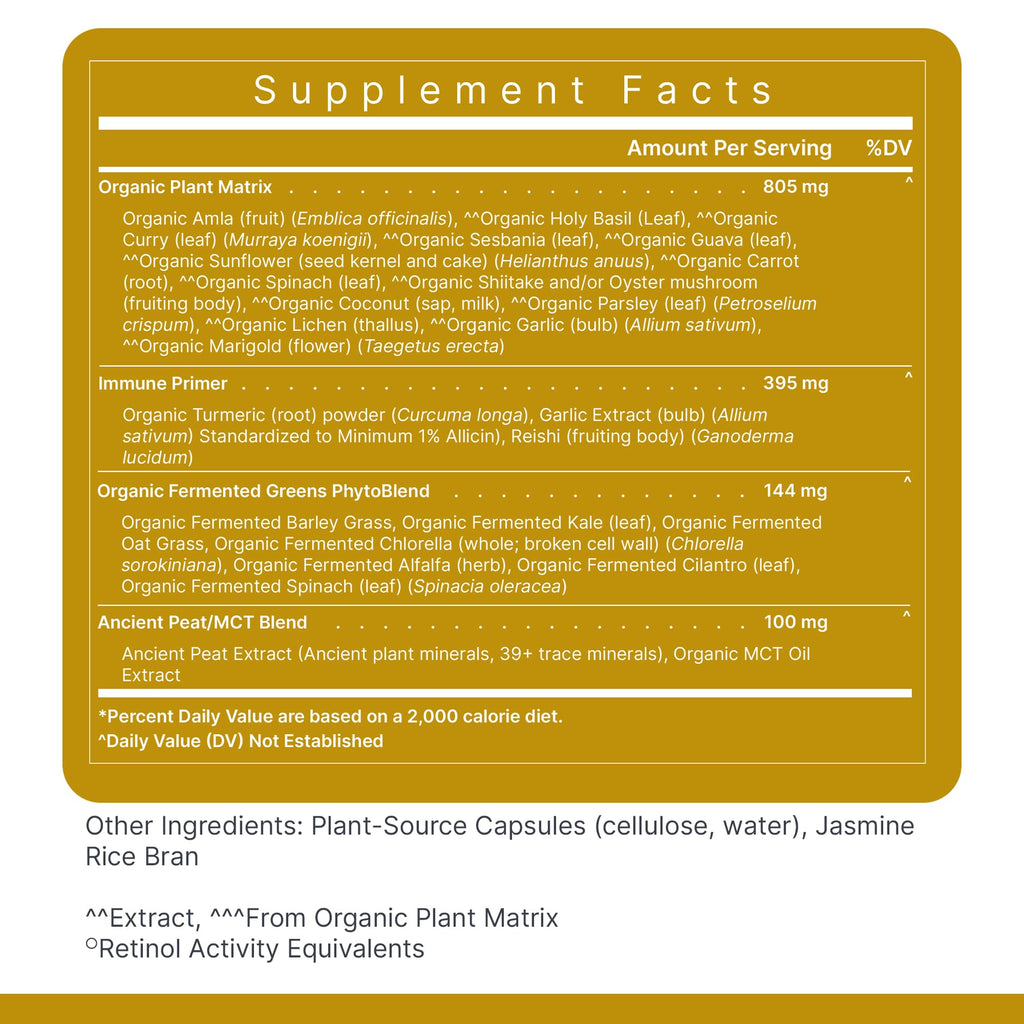 Premier Research Labs Multi-Vitamin – Immune, Brain & Heart Support | Vegan, Gluten & Soy Free | 120 Capsules