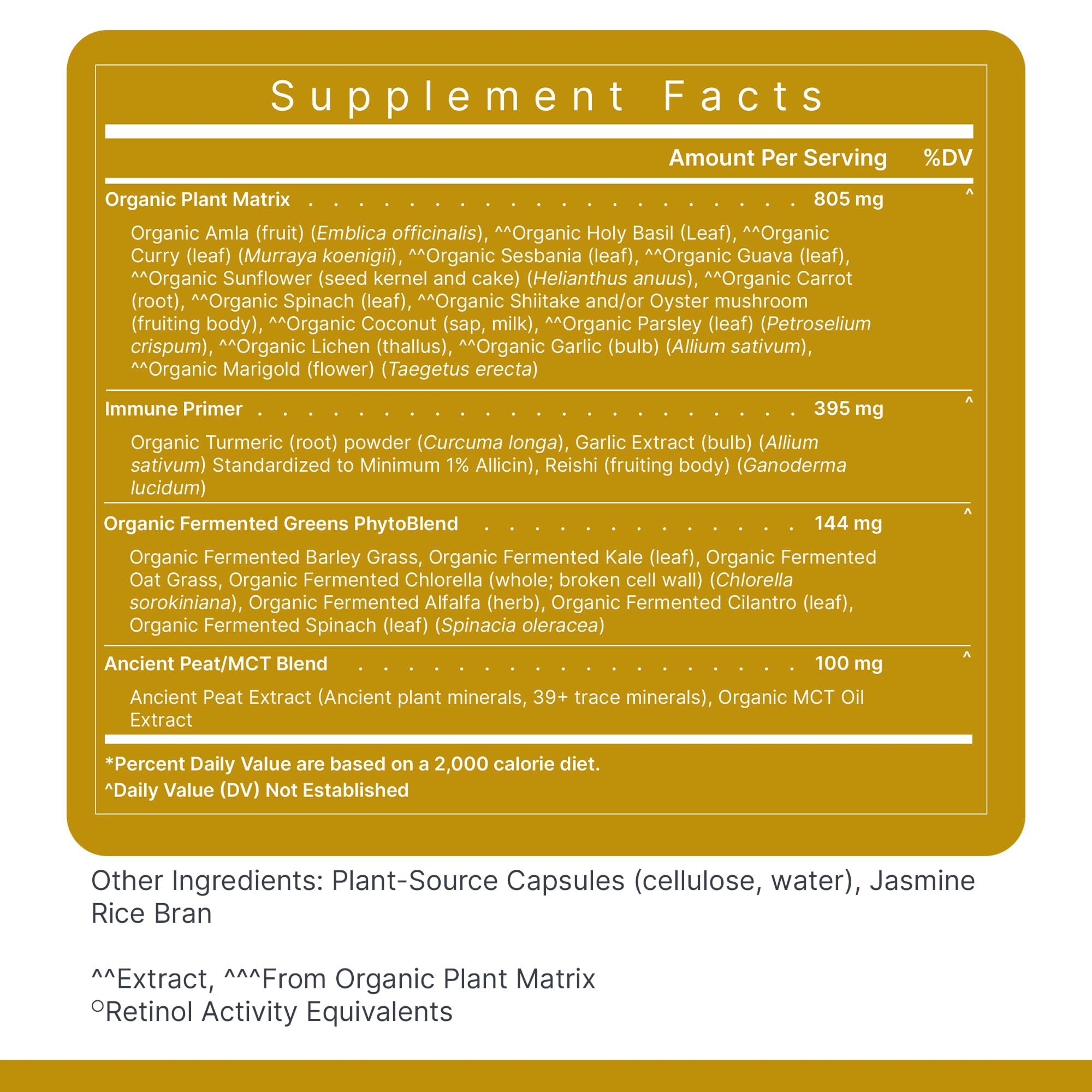 Premier Research Labs Multi-Vitamin – Immune, Brain & Heart Support | Vegan, Gluten & Soy Free | 120 Capsules