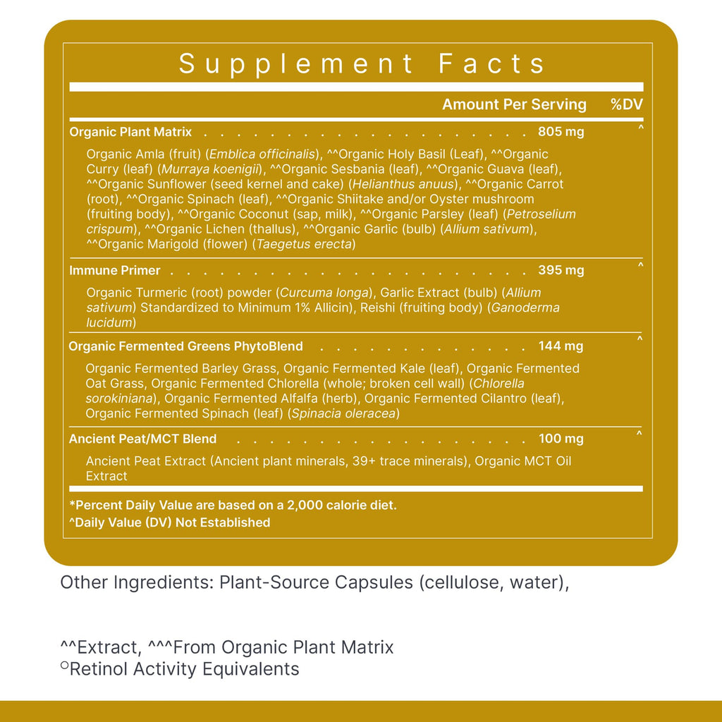 Premier Research Labs Multi-Vitamin – Immune, Brain & Heart Support | Vegan, Gluten & Soy Free | 120 Capsules