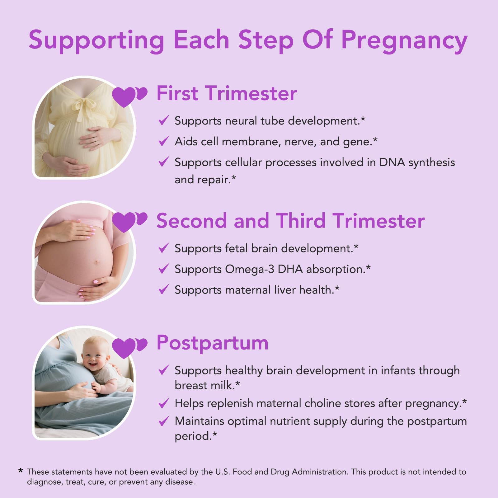 Premom Prenatal Choline Bitartrate 550mg – 60 Capsules | Prenatal Brain Support