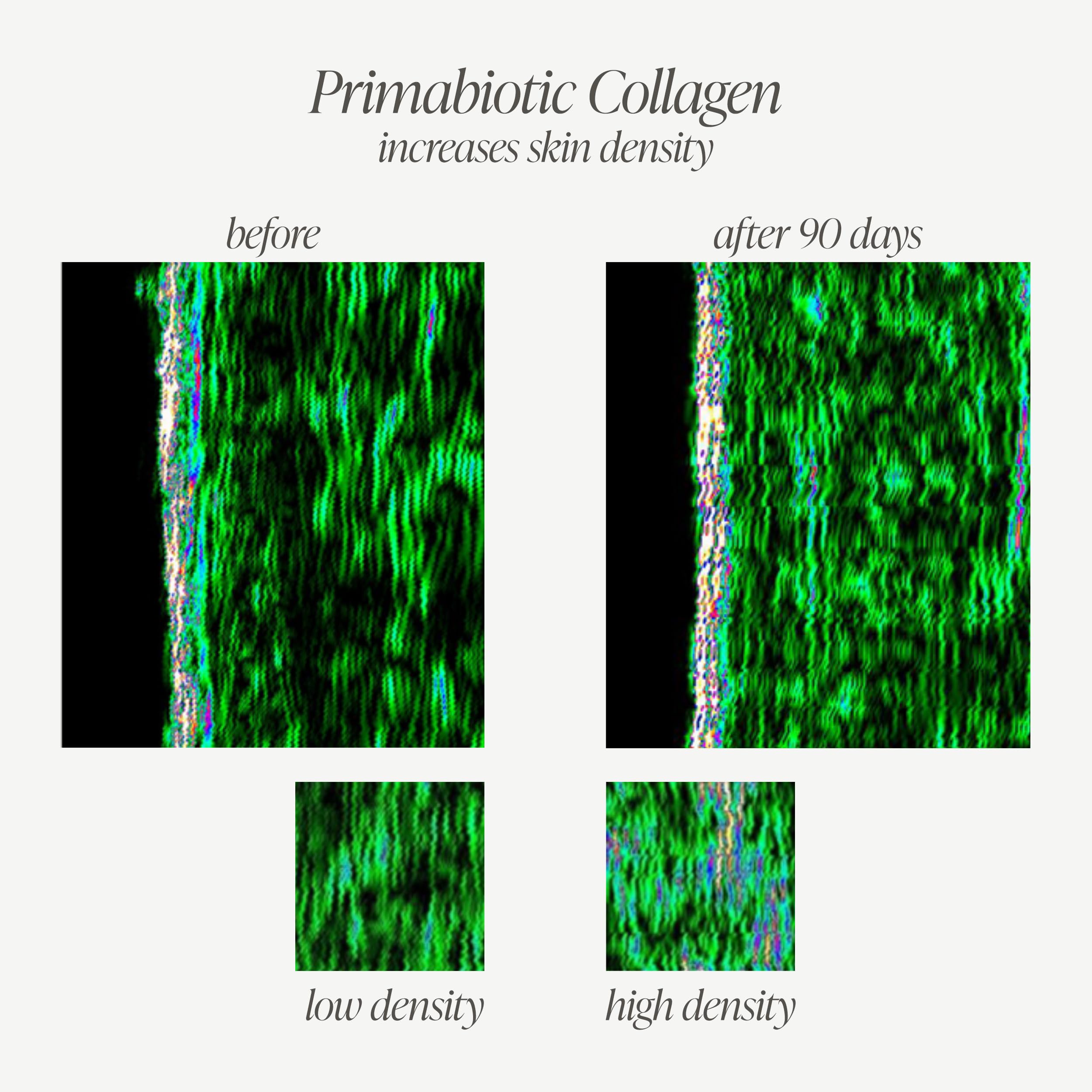 PRIMABIOTIC Liquid Collagen – 10,000 mg per Serving, Hydrolyzed Collagen + 12 Vitamins, Gluten Free, 900 ml (30 x 30 ml)