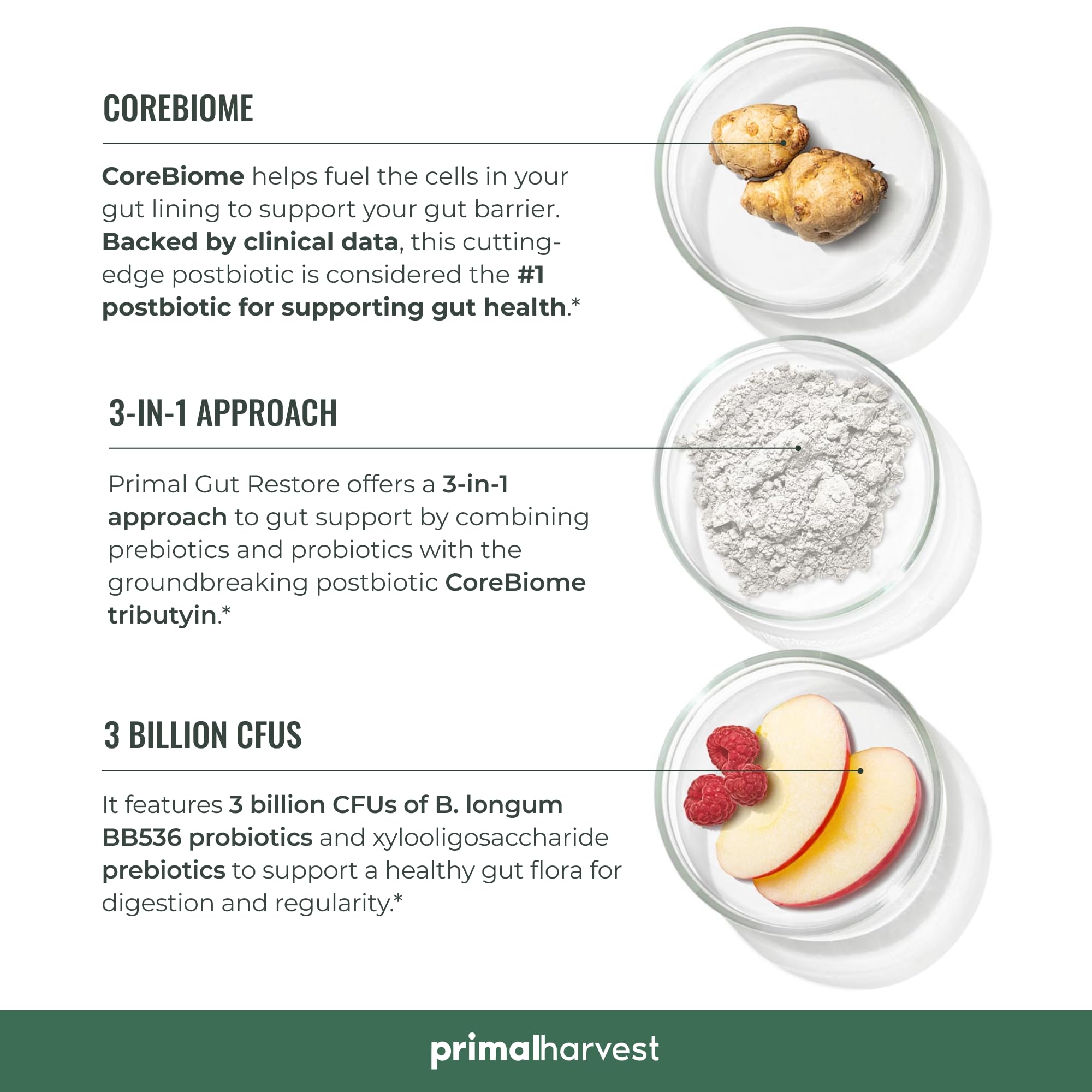 Primal Harvest 2 Pack Primal Gut Restore for Digestive Health | Prebiotics Probiotics Postbiotics (60 CT)