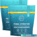 Primal Harvest Electrolytes Powder Packets – Primal Hydration, Lemon Berry, 60 Sticks (2-Pack)