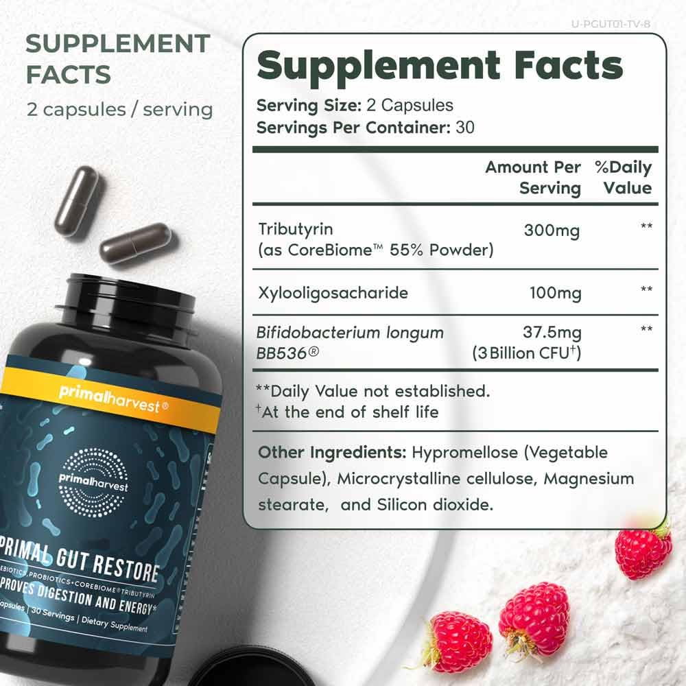 Primal Harvest Restore Gut Health – PRE/PRO/Postbiotics, 60 CT | Digestive Support for Women & Men