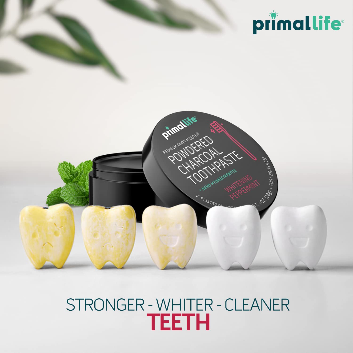 Primal Life Organics Dirty Mouth Toothpowder – Activated Charcoal with Kaolin & Bentonite Clay, Organic, Vegan, 1 oz (Black Peppermint) | 200+ Brushings