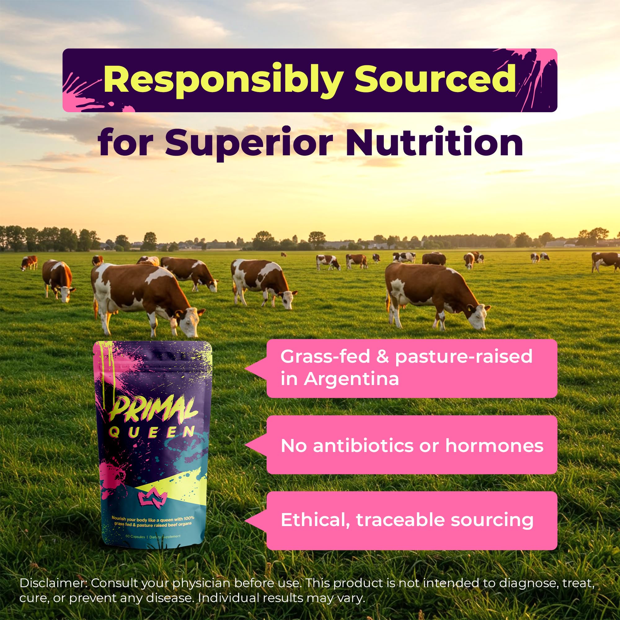 Primal Queen: Female Beef Organ Superfood - Grass-Fed (Liver, Kidney, Heart & More)