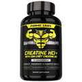 Prime Labs Creatine HCl Capsules – CON-CRĒT, Rhodiola Root Extract & L-Theanine | Muscle Support, Endurance & Cognitive Function – For Men & Women – 60 Pills
