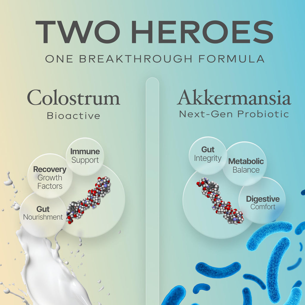 Prime Powders Colostrum Powder with Akkermansia | Grass-Fed Bovine, 1B AFU Probiotic | Gut Support, IgG Rich | 120 Servings