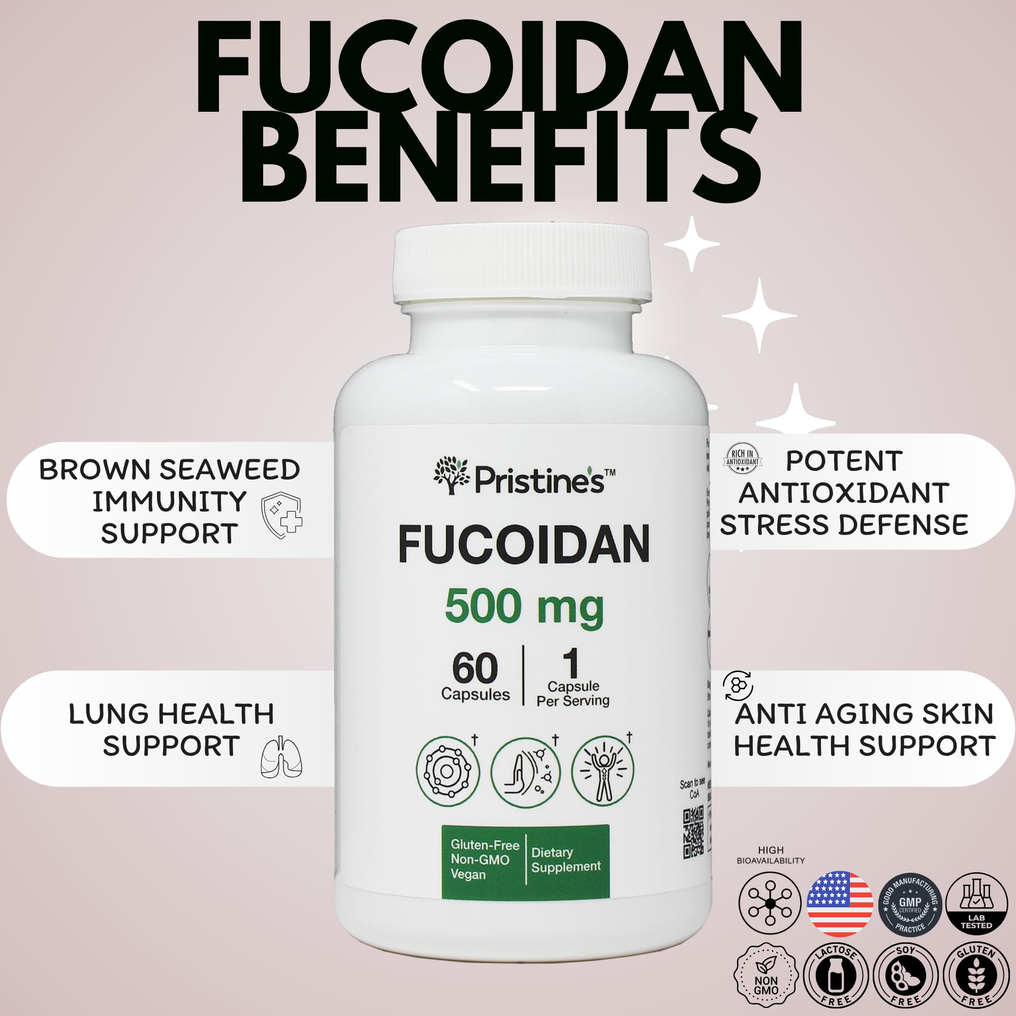 PRISTINE'S Fucoidan 500MG Immunity Supplement - 60 Day Supply