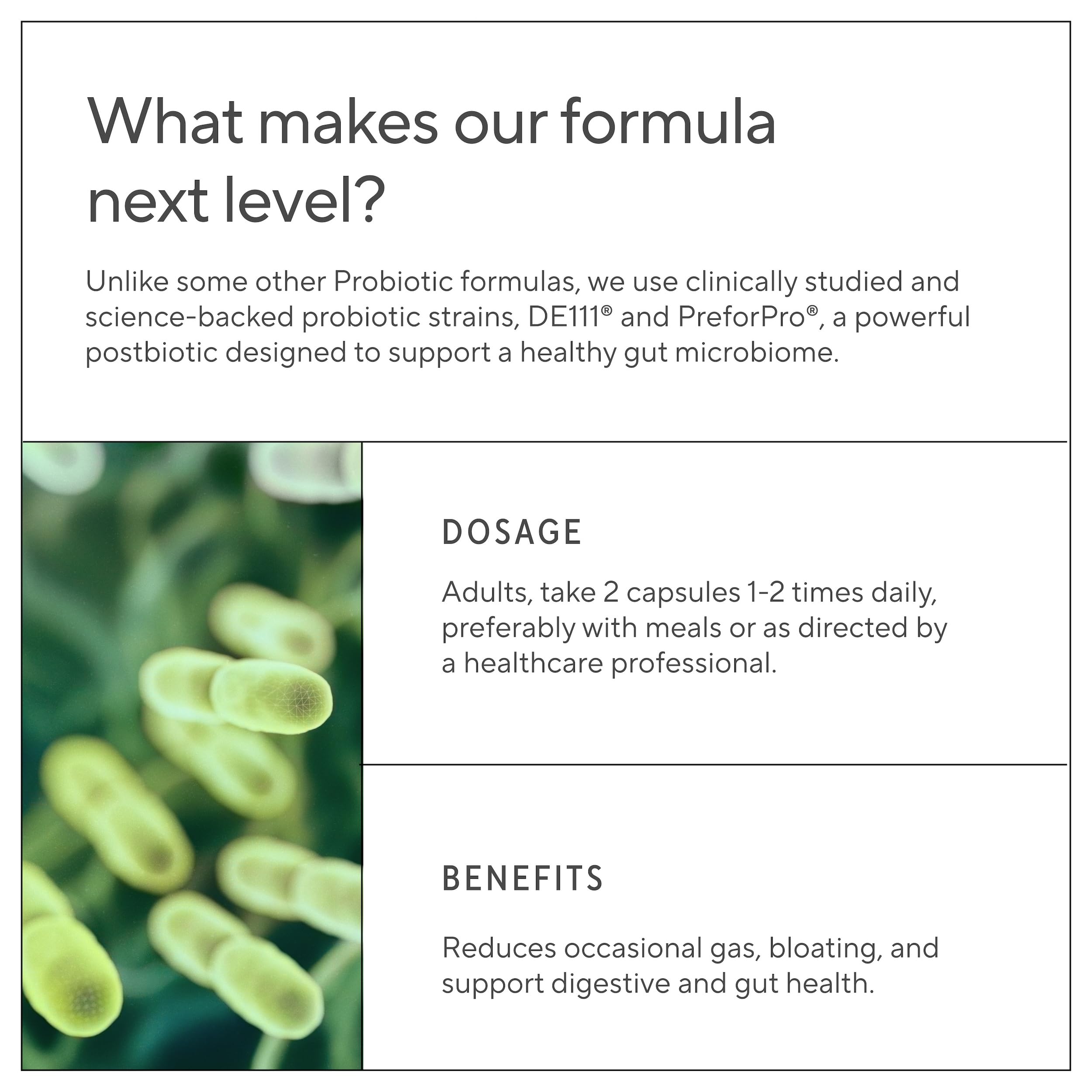 Premium 4-in-1 Probiotic with Prebiotic, Postbiotic & Digestive Enzymes – Gut Health, Digestion & Immunity – 60 Capsules