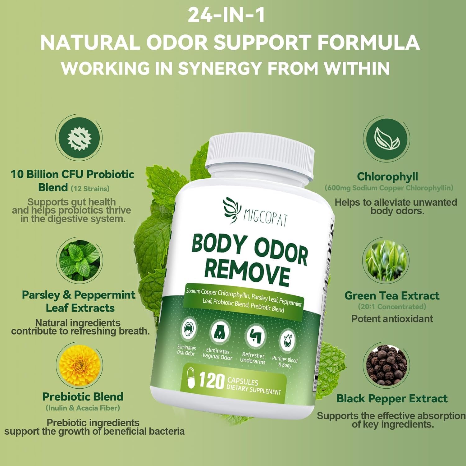 Chlorophyll Body Deodorizing Supplement – 120 Caps, Parsley & Peppermint