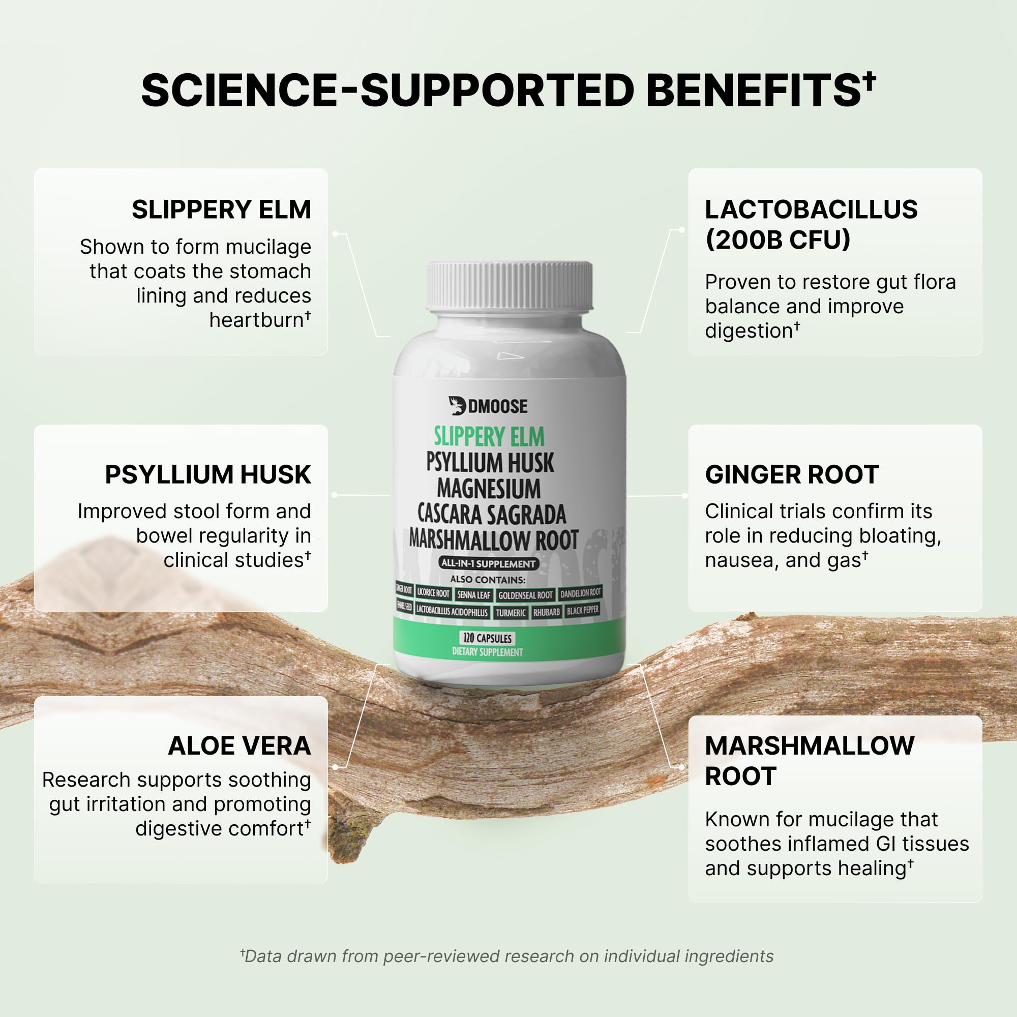 16-in-1 Slippery Elm Bark for Gut Health - Women & Men
