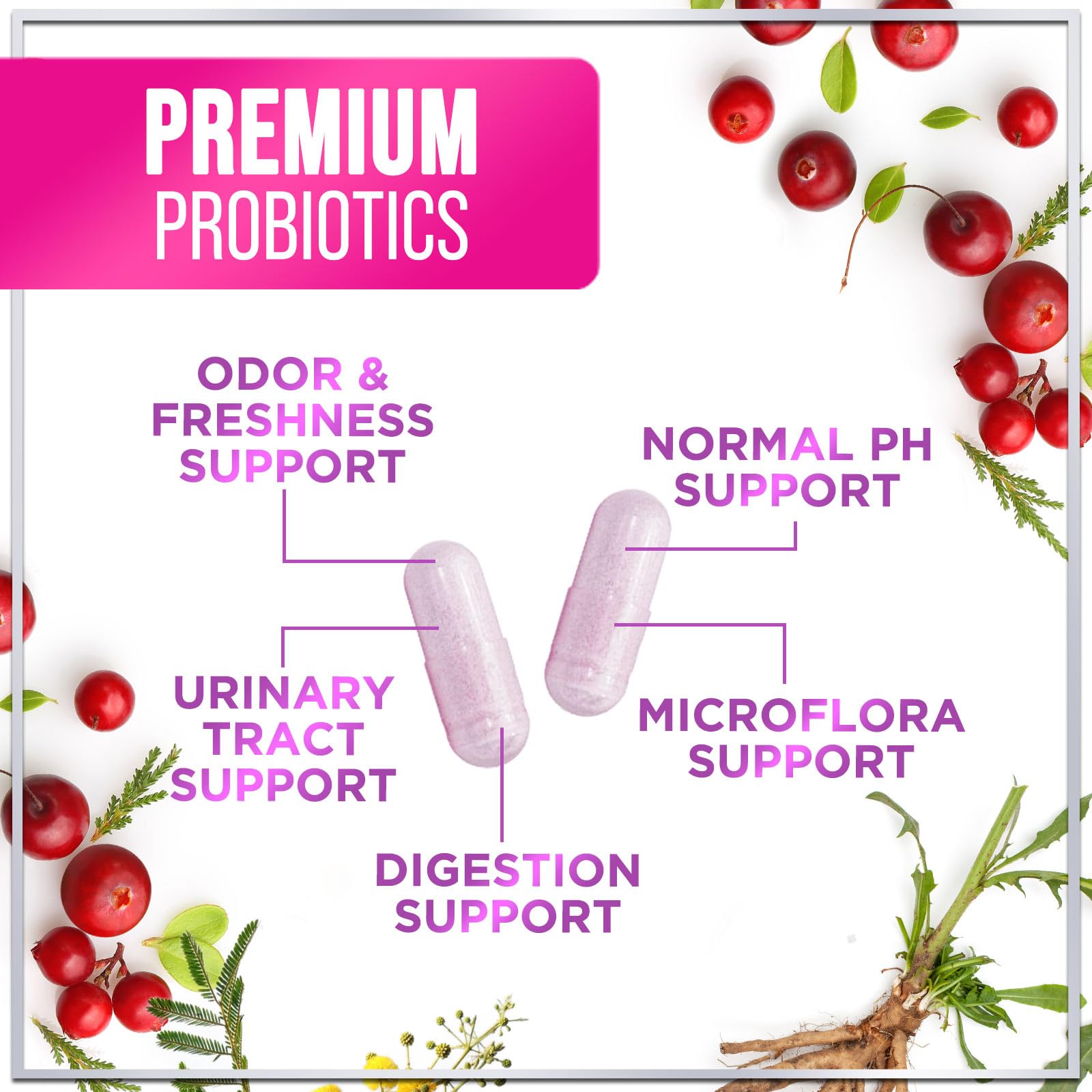 Probiotics for Women Digestive Health Support - 60 Billion CFU Women's Probiotic, 16 Strains, for pH Balance, Vaginal Support with Cranberry for Gut Health, Urinary & Immune Support - 120 Capsules