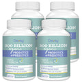 Probiotics for Women and Men - 300 Billion CFU, 24 Strains, 15 Organic Herbs + Prebiotics - Shelf-Stable Gut Health Supplement (8 Month Supply)