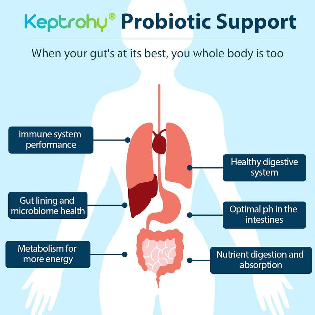 Probiotics for Women & Men – 300B CFU, 12 Strains, Organic Prebiotics | 60 Capsules