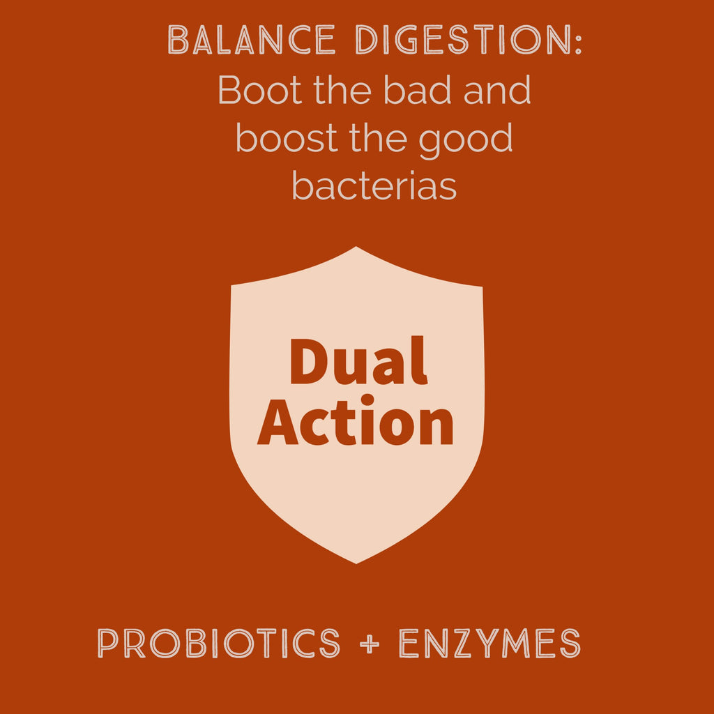 New Bacillus B3 Probiotic Complex & Enzymes – 60 Capsules (100% Spore-Based SBO)