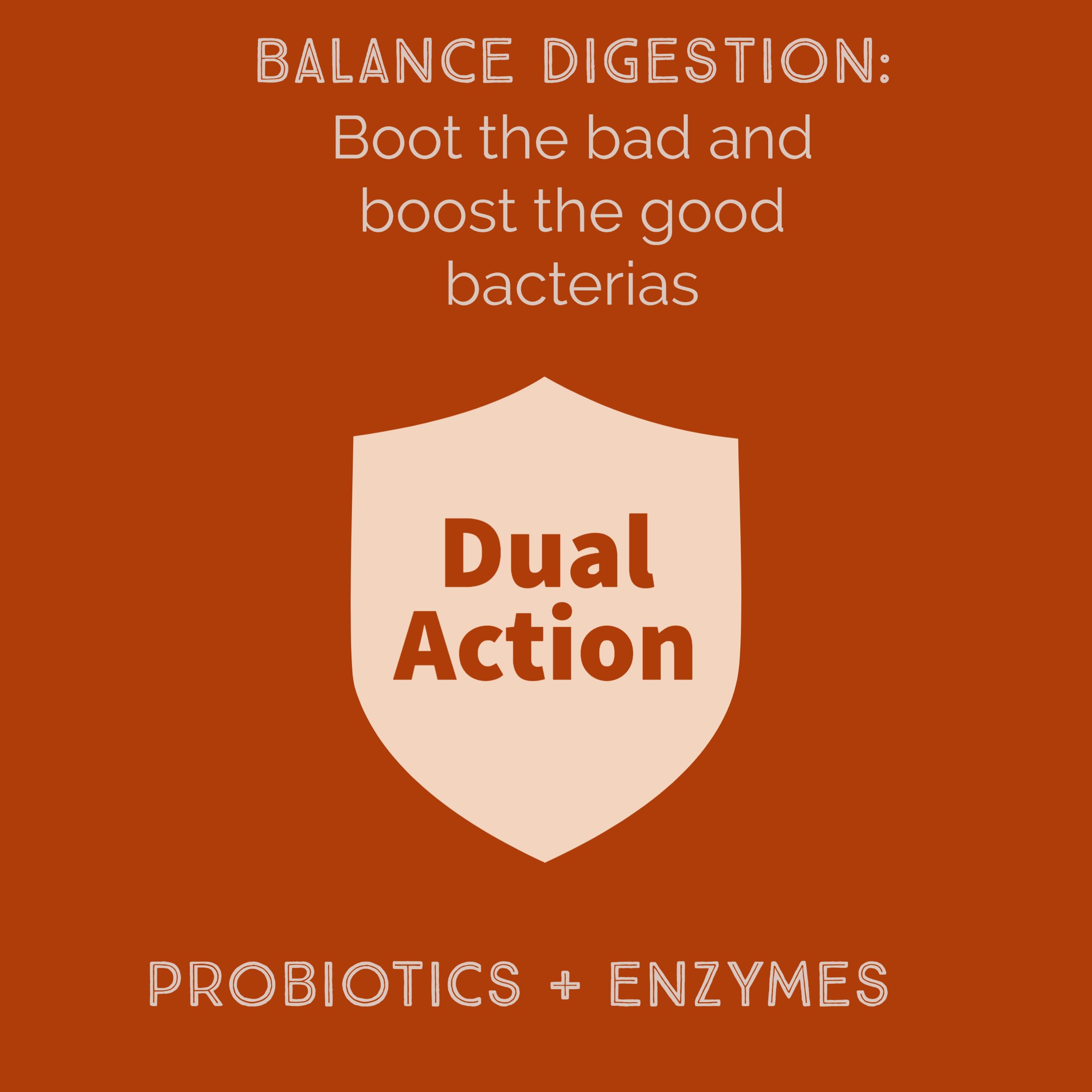 New Bacillus B3 Probiotic Complex & Enzymes – 60 Capsules (100% Spore-Based SBO)