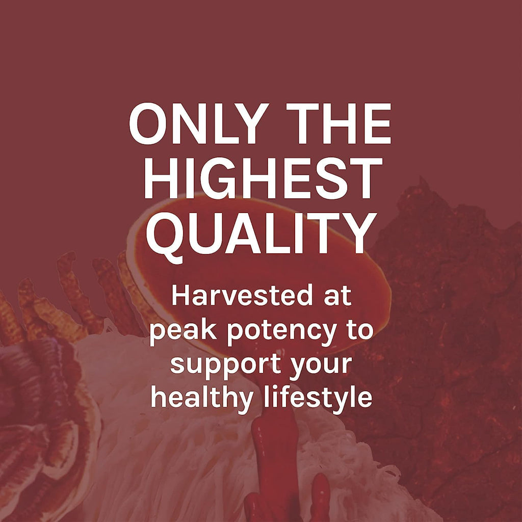 Host Defense Reishi Extract - Heart & Immune Support | 1 fl oz