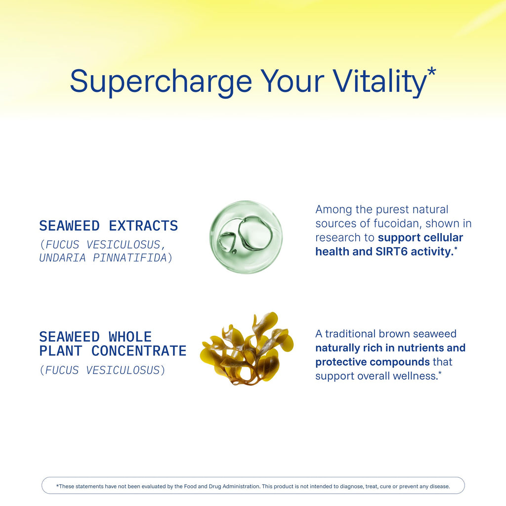 ProHealth Sirtuin 6 Activator - 60 Capsules | Longevity & DNA Support