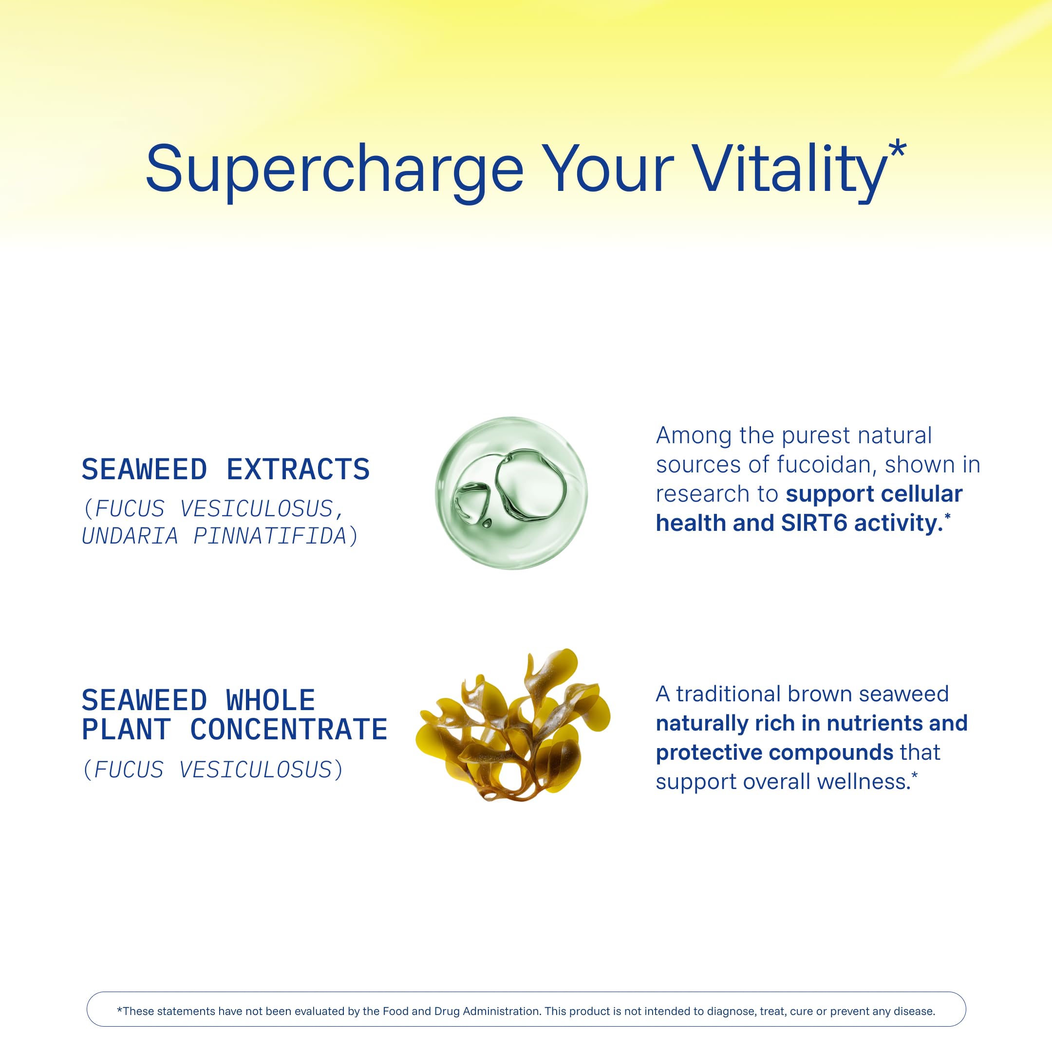 ProHealth Sirtuin 6 Activator - 60 Capsules | Longevity & DNA Support