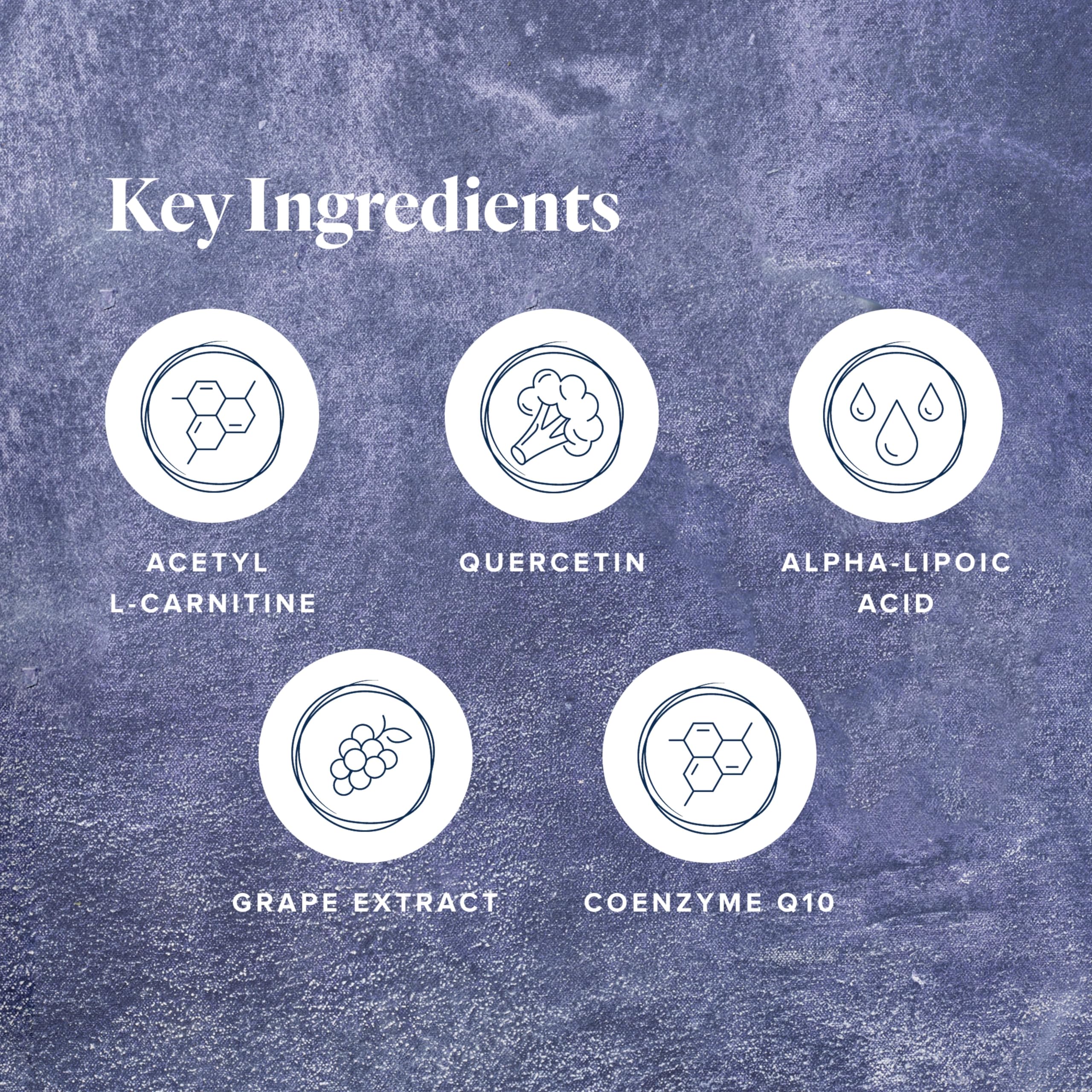 LifeVantage Protandim NRF1 Synergizer – NRF1 Activator for Cellular Health & Mitochondrial Energy (60 Capsules)