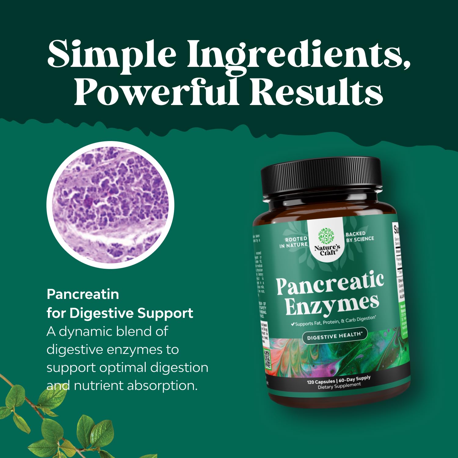 Natures Craft Pancreatin Digestive Enzymes – 120ct | Digestive Health