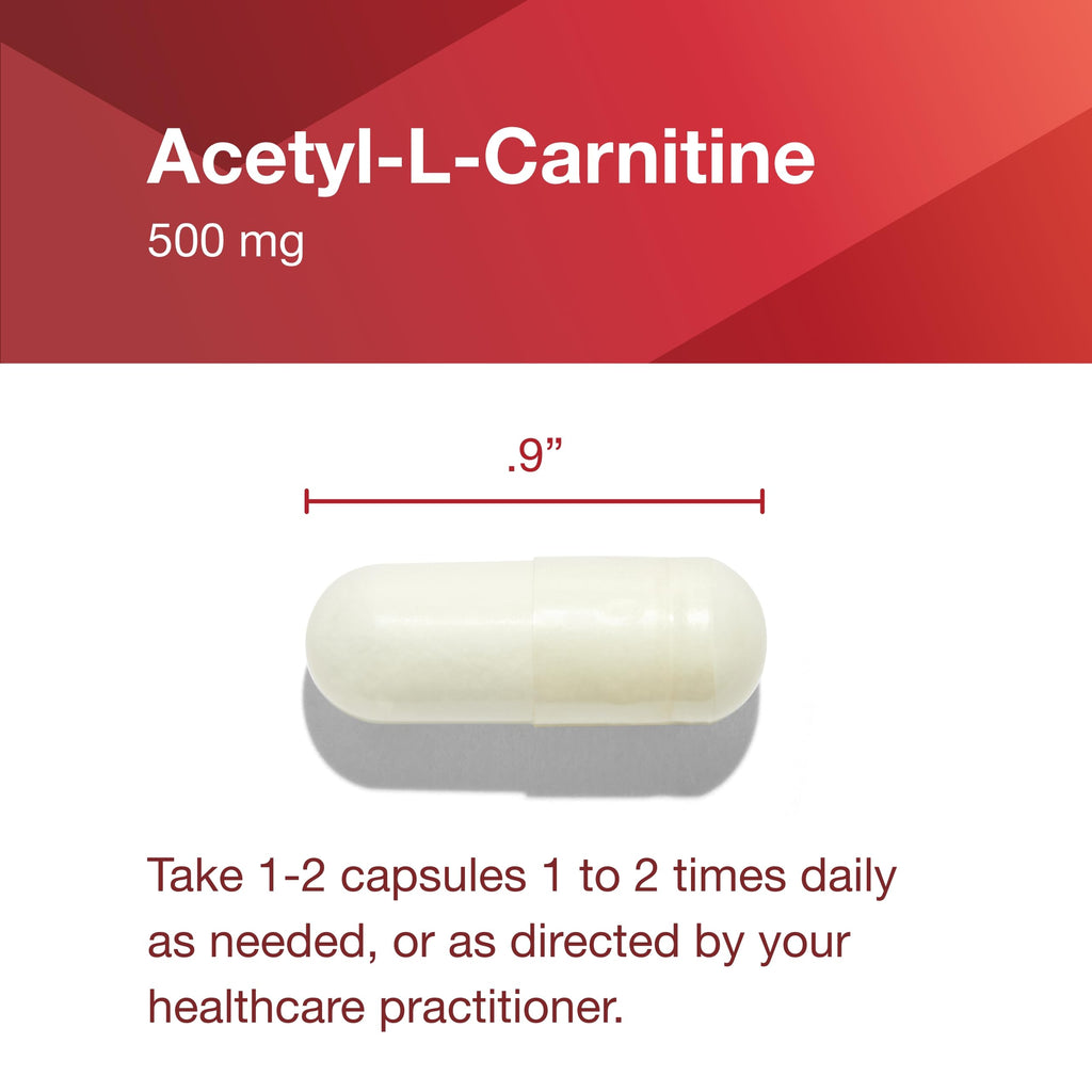 Protocol Acetyl-L-Carnitine 500mg – Energy, Nerve & Brain Support – 100 Veg Caps