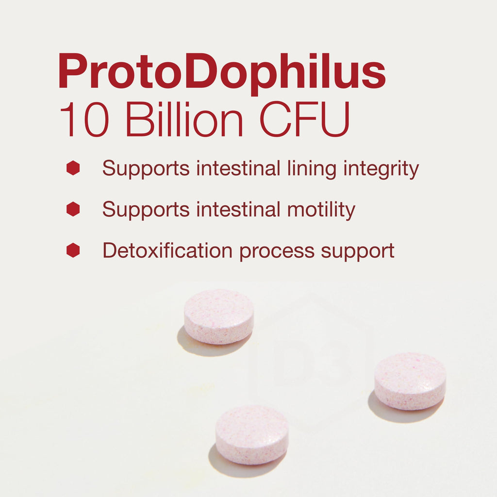 Protocol Chewable Protodophilus - 10 Billion CFU Probiotic | 60 Chewables, Vegan & Halal